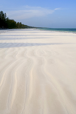 Fine white sand and palm trees on Matemwe Beach, Zanzibar, Tanzania, East Africa, Africa