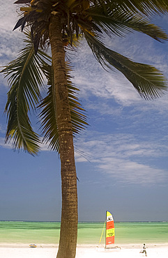 A catamaran on Kiwengwa Beach near the Blue Bay Hotel, Zanzibar, Tanzania, East Africa, Africa