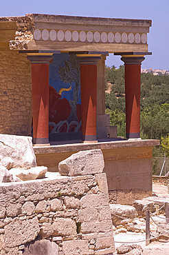 The north entrance passage containing a fresco of a charging bull at the Minoan site of Knossos, excavated in the early 20th century by British archaeologist Sir Arthur Evans, Crete, Greek Islands, Greece, Europe