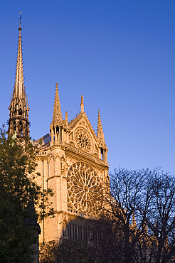 Notre Dame Cathedral, Paris, France, Europe