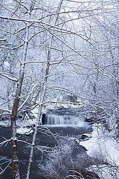 A waterfall in winter surrounded by snow covered trees, Rensselaerville, New York State, United States of America, North America