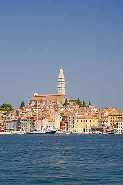 The hilltop Cathedral of St. Euphemia and old buildings in Rovinj, Istria, Croatia, Europe