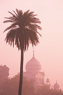 The misty silhouette at sunrise of the Gurdwar Dam Dama Sahib, a Sikh temple seen from the garden of Humayun's Tomb, Delhi, India, Asia