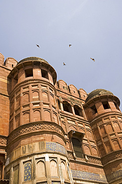 Birds flying around the towers of the Agra Fort, UNESCO World Heritage Site, Agra, Uttar Pradesh, India, Asia