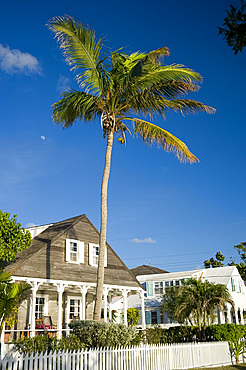 A palm tree growing over a colonial style house in Dunmore Town, Harbour Island, The Bahamas, West Indies, Caribbean, Central America