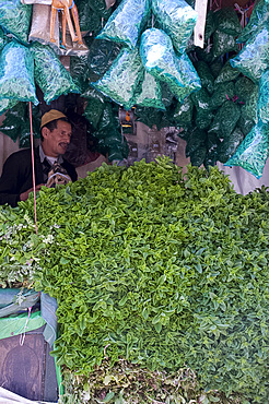 A stall with piles of fresh mint for sale in the main square, (Jemaa El Fna), Marrakech, Morocco, North Africa, Africa