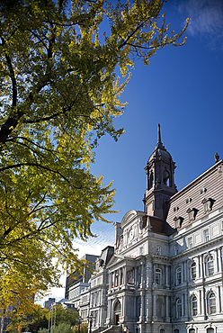 The Hotel de Ville surrounded by autumn foliage, Montreal, Quebec Province, Canada, North America