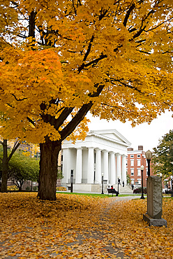 Autumn foliage in Bush Square in Troy, New York State, United States of America, North America