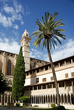 The Basilica of St. Francis and from the cloister in Palma, Majorca, Balearic Islands, Spain, Europe