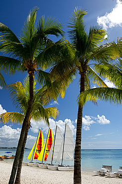 Colourful sailboats on the beach at Trou aux Biches on the north west coast of Mauritius, Indian Ocean, Africa