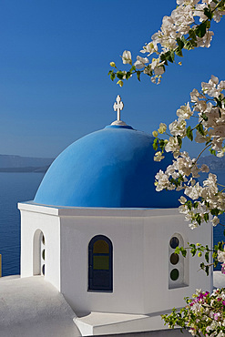 Bougainvillea around the Church of St. Nicholas in Oia, Santorini, The Cyclades, The Aegean, Greek Islands, Greece, Europe