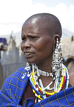 A Masai woman wearing elaborate beaded jewelry in the Ngorongoro Conservation Area, Tanzania, East Africa, Africa