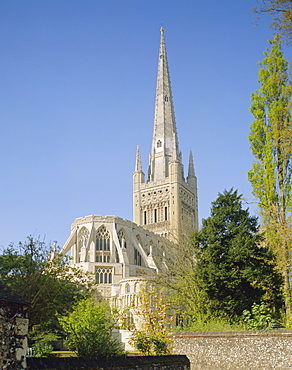 The Cathedral, Norwich, Norfolk, England, UK