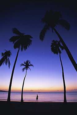 Grand Anse beach at sunset, Grenada, Windward Islands, West Indies, Caribbean, Central America