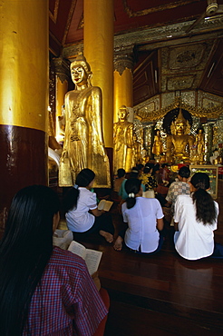 Worshippers in the pavilion where hti was placed, Shwedagon Paya (Shwe Dagon Pagoda), Yangon (Rangoon), Myanmar (Burma), Asia