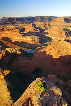 Cliff palace, Colorado River Goose Neck, Dead Horse Point State Park, Utah, USA, North America