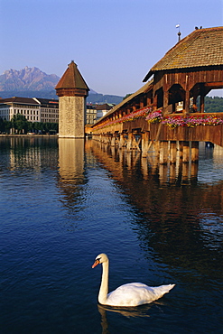 Kapellbrucke (covered wooden bridge) over the River Reuss, Lucerne (Luzern), Switzerland, Europe