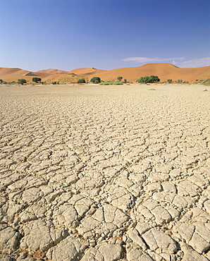 Cracked mud flats and sand dunes, Sossusvlei, Namib-Naukluft Park, Namibia, Africa