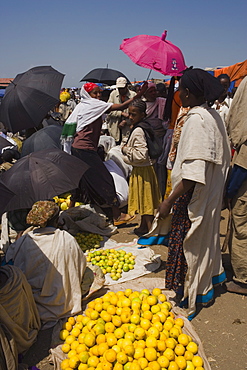 People walk for days to trade in this famous weekly market, Saturday market in Lalibela, Lalibela, Ethiopia, Africa