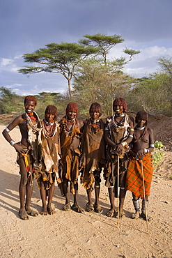 A group of Hamer women with goscha (ochre and resin hair tresses), Hamer Tribe, Lower Omo Valley, southern area, Ethiopia, Africa