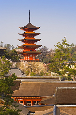 The famous five-storey pagoda dating from 1407, Itsukushima (Itsuku-shima) shrine, Miyajima, Hiroshima area, island of Honshu, Japan, Asia