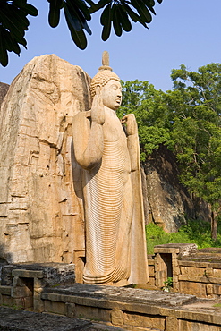 Giant statue dating from the 5th century, of the standing Buddha giving a blessing with his right hand, and lifting the robe to signify reincarnation with his left hand, Aukana, Sri Lanka, Asia