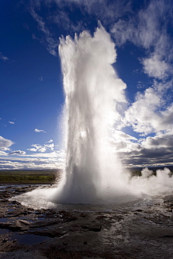 Strokkur (the Churn) which spouts up to 35 meters erupting every 10 minutes, Geysir, Golden Circle, Iceland, Polar Regions