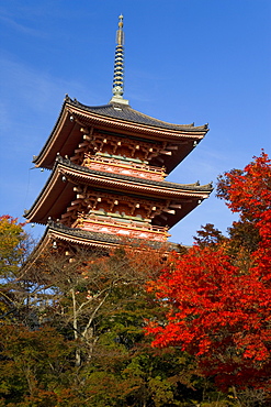 Kiyomizu-Dera, an ancient temple first built in 798, with present buildings dating from 1633, Kansai Region, Honshu, Japan, Asia