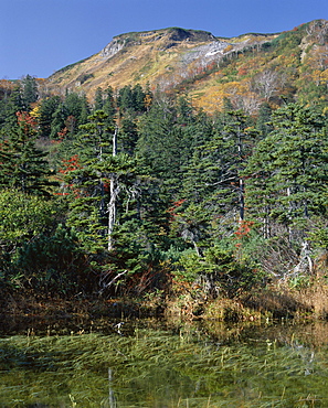 Kogen Onsen, Daisetsuzan National Park, island of Hokkaido, Japan, Asia