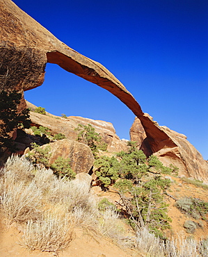 Landscape Arch, 92 ft. high, 306 ft. span, Arches National Park, Utah, USA, North America