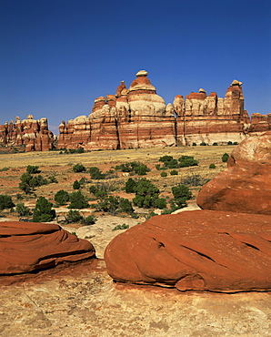 Rock formation in Canyonlands National Park, Utah, United States of America, North America