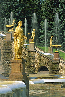 Gold statues and fountains outside the Summer Palace at Petrodvorets in St. Petersburg, Russia, Europe