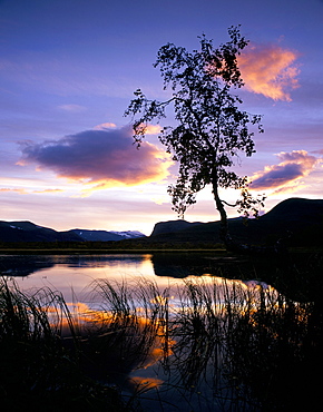 Typical scenery in Laponia, Lappland, Sweden, Scandinavia, Europe