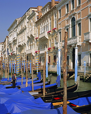 Moored gondolas on the Grand Canal, Venice, Veneto, Italy