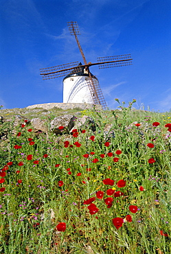 Windmill in Consuegra, Castilla La Mancha, Spain