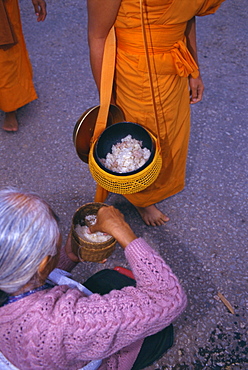 Novice monk receiving alms in the early morning, Luang Prabang, Laos, Indochina, Asia