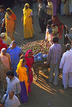 Elevated view of street scene, Pushkar, Rajasthan State, India, Asia