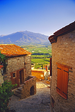 View from Eaus village of Mont Canigou, Pyrenees-Orientale, Languedoc-Roussillon, Pyrenees, France, Europe