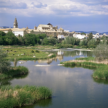 View towards Mezquita and cathedral, Cordoba, Andalucia, Spain, Europe