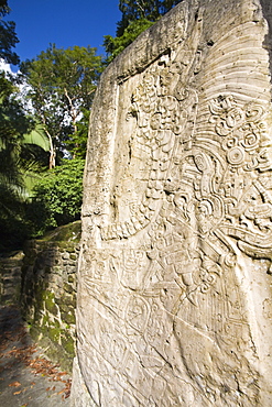 Stela 9 erected in AD 625 to commemorate the accession of Lord Smoking Shell in 608, shown in ceremonial regalia, Lamanai, Belize, Central America