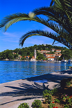 Promenade and harbour, Cavtat, Croatia, Europe