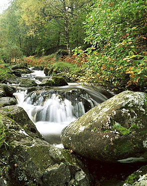 Barrow Beck and autumnal foliage, near Ashness Bridge, Lake District, Cumbria, England, United Kingdom, Europe