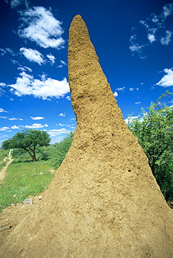 Termite mound near Okahandja, Namibia, Africa 