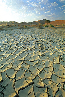 Sunbaked mud pan/cracked earth, near Sossusvlei, Namib Naukluft Park, Namibia, Africa 