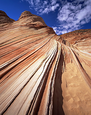 Sandstone wave, Paria Canyon, Vermillion Cliffs Wilderness, Arizona, United States of America (U.S.A.), North America