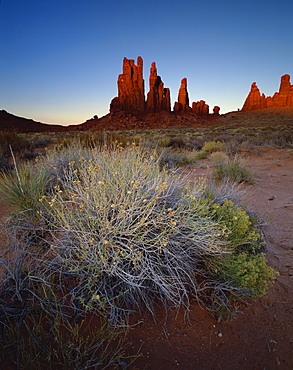 Sandstone formations in evening light with scrub in foreground, Monument Valley Tribal Park, Arizona, United States of America, North America