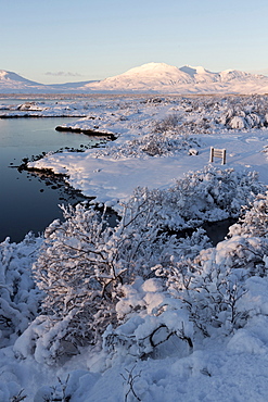 View towards Pingvallavatn Lake on a clear winter's afternoon with the shore and distant mountains covered in snow, Pingvellir National Park, UNESCO World Heritage Site, Southwest Iceland, Iceland, Polar Regions