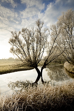 A winter flood with hoar frost occurs at the source of the River Thames at Waterhay, Gloucestershire, England, United Kingdom, Europe