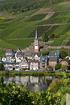 Zell church on River Mosel, Zell, Rhineland-Palatinate, Germany, Europe