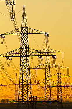 Power lines in morning light, Germany, Europe